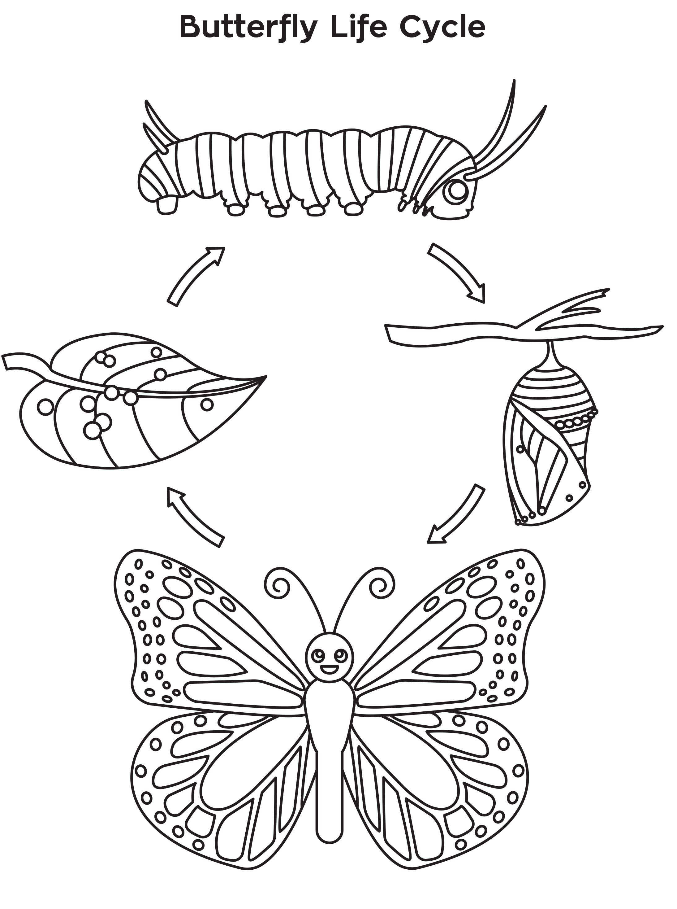 Science Coloring Pages