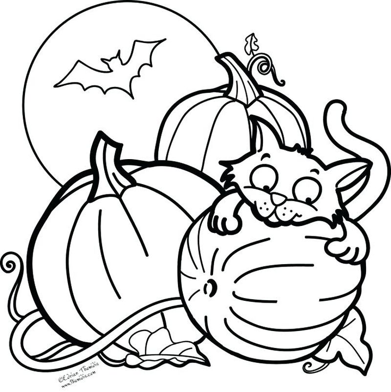 Bat Coloring Pages Pdf