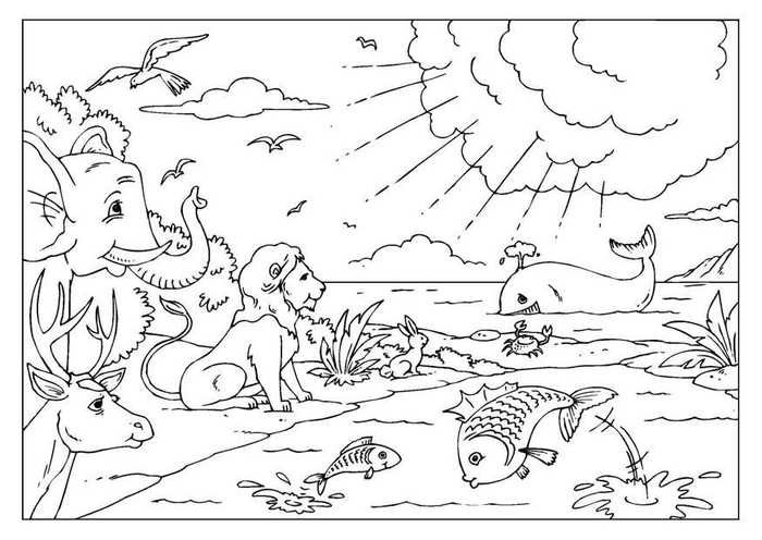 Bible Coloring Pages Creation