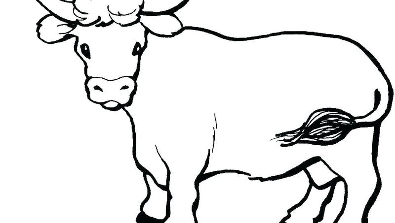 Cow Printable Coloring Pages