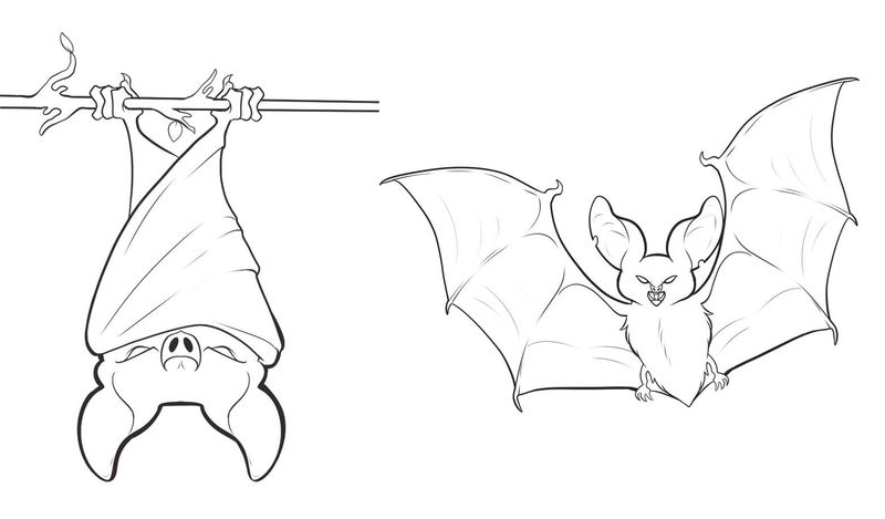 Cute Bat Coloring Pages