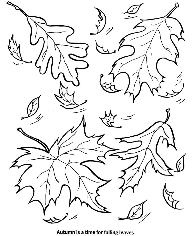 Fall Leaf Coloring Pages