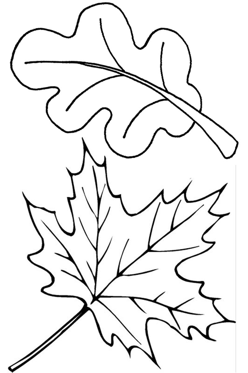 Four Leaf Clover Coloring Pages