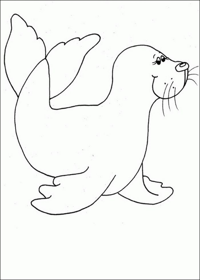 Free Coloring Pages Baby Seal