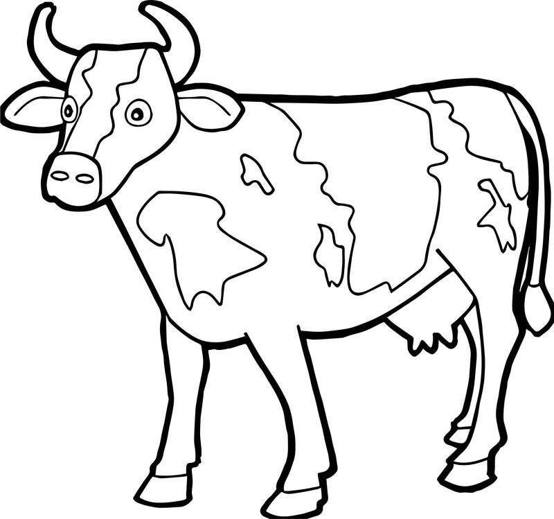 Free Cow Printable Coloring Pages