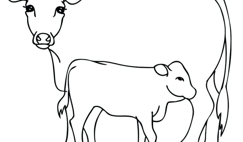 Free Printable Cow Coloring Pages