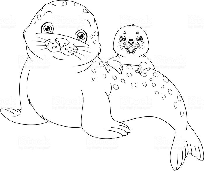 Harp Seal Coloring Pages