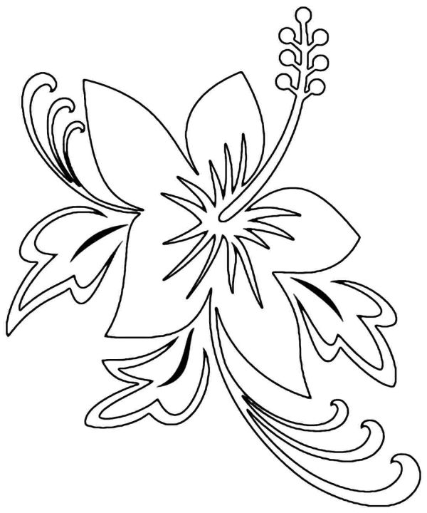 Hibiscus Coloring Page