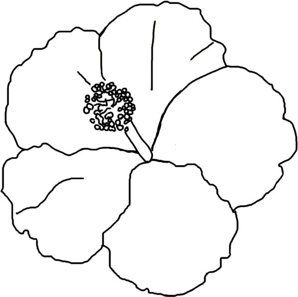 Hibiscus Coloring Pages