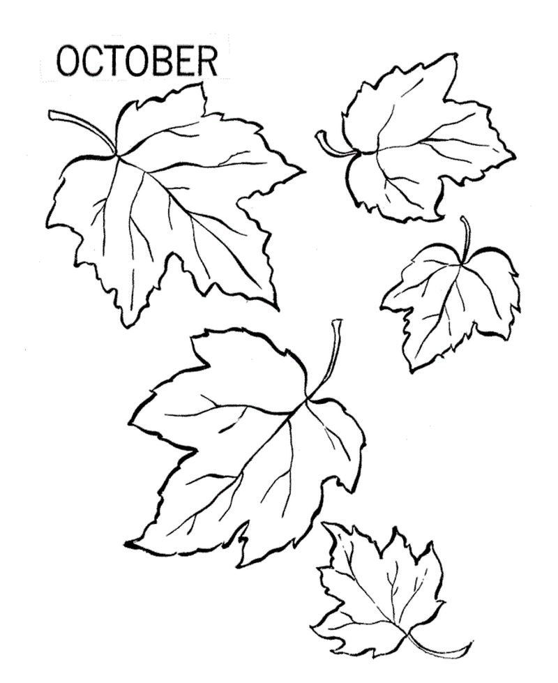 Leaf Coloring Pages