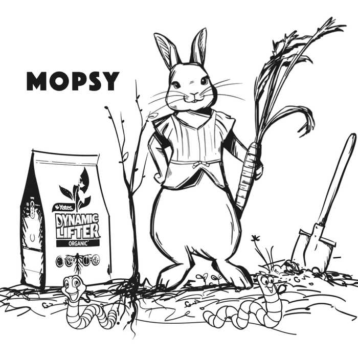 Peter Rabbit Movie Sketch Mopsy Coloring Pages