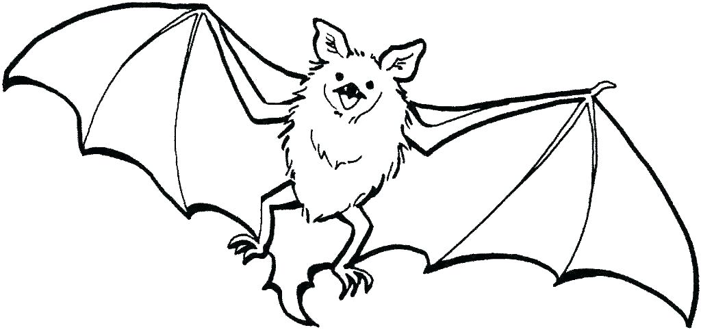 Realistic Bat Coloring Pages