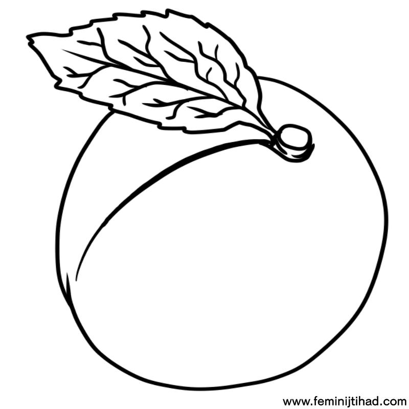 apricot coloring pages to print