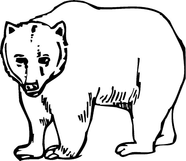 bear coloring pages free