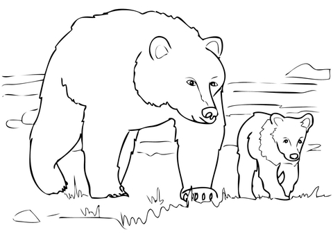 bear coloring pages preschool