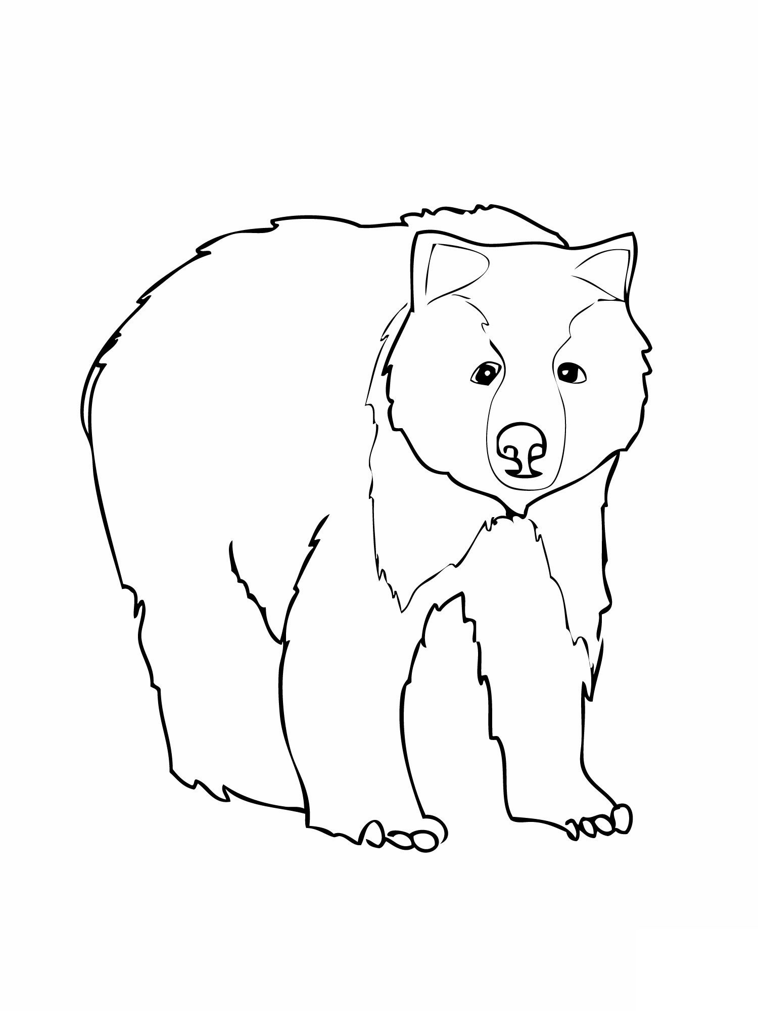 bear coloring pages