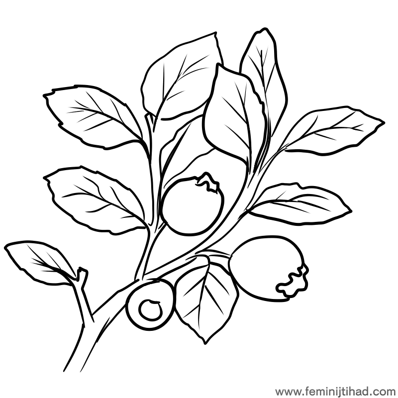 bilberry coloring page print