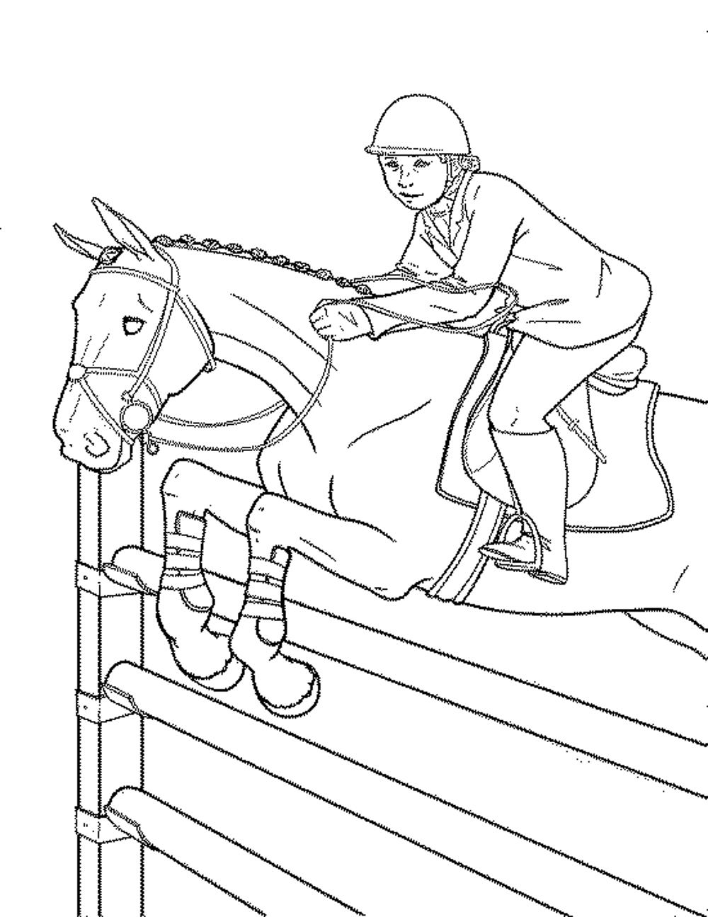 horse racing colouring sheets