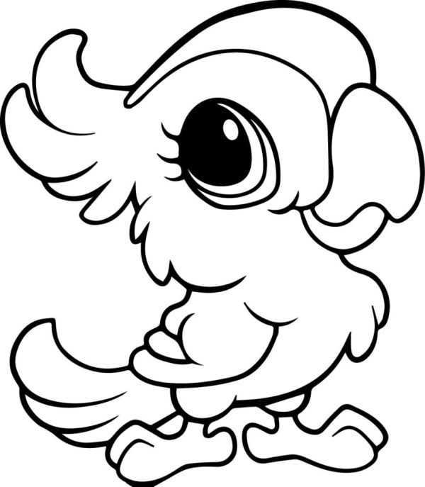 cute bird coloring pages