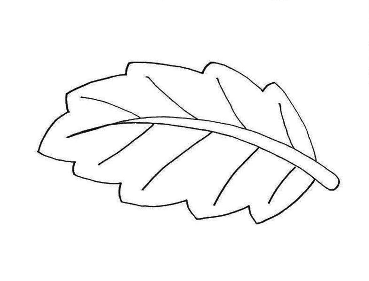 free leaf coloring pages printable