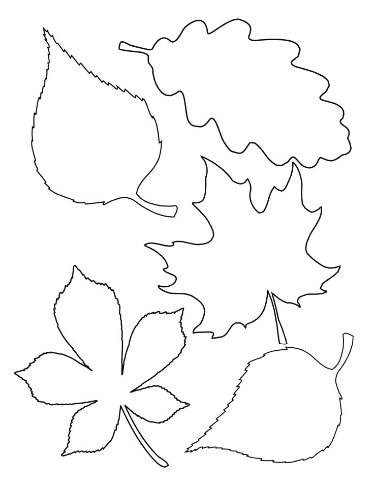 free printable leaf coloring pages