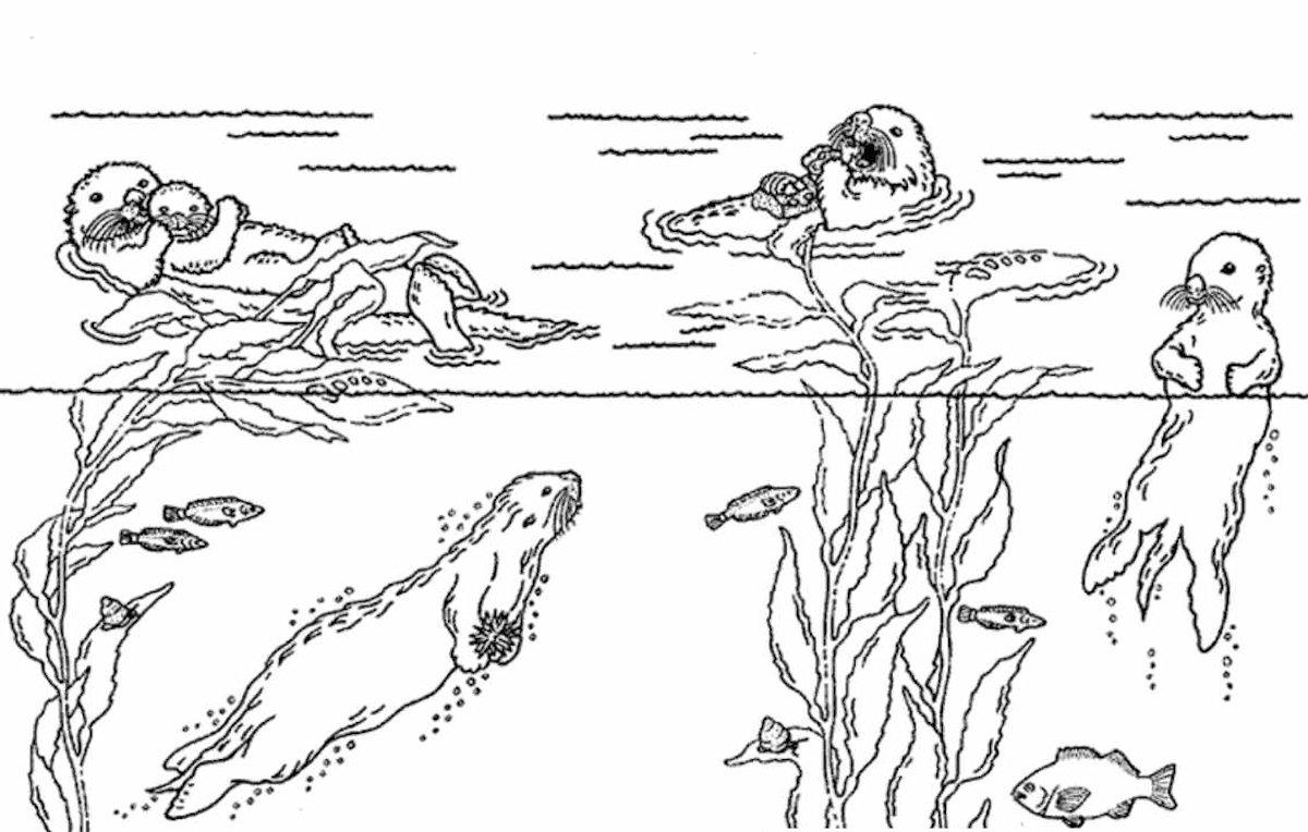 sea otter coloring pages printable