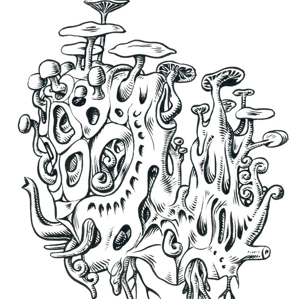 trippy mushroom coloring pages