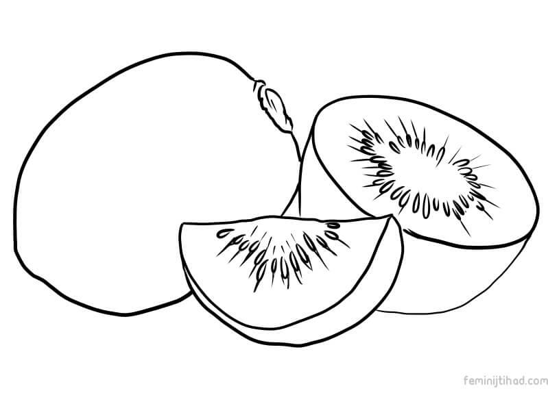 kiwi picture download