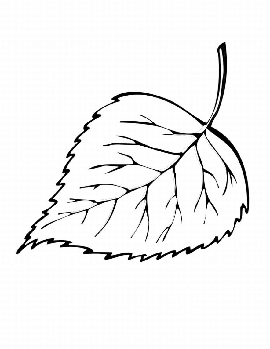 leaf coloring pages free printable