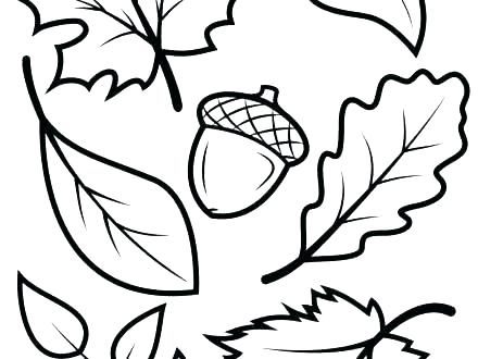 oak leaf coloring pages