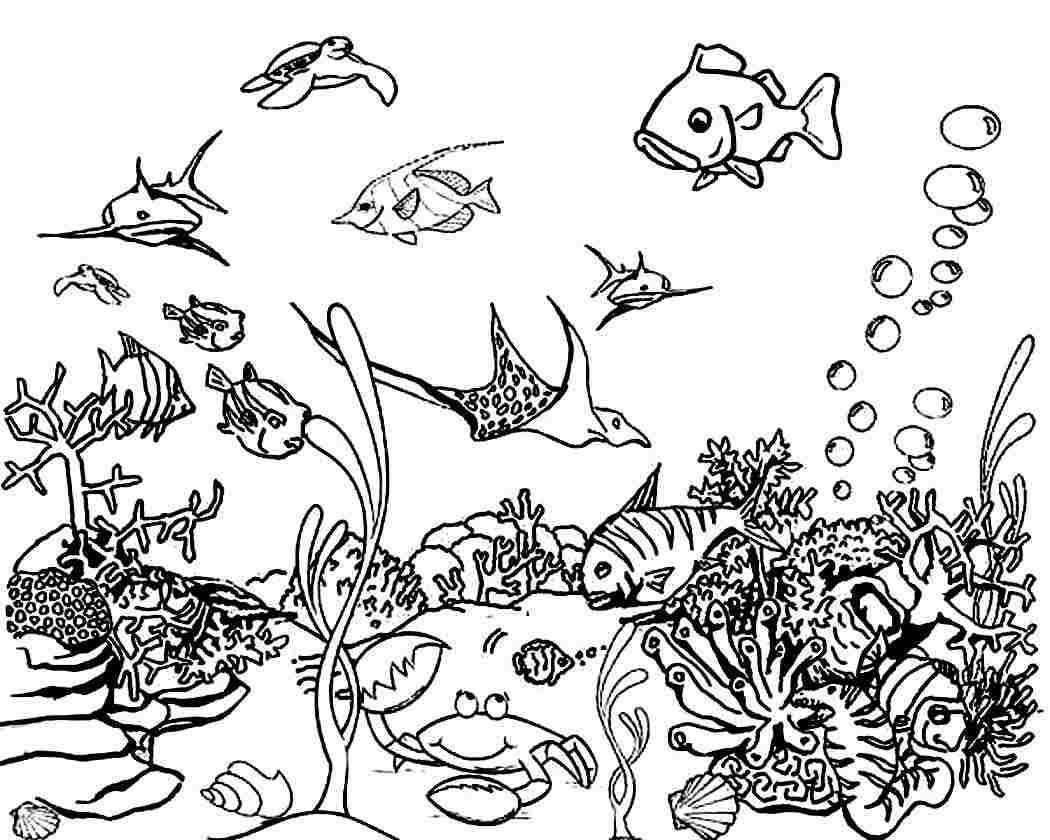 under the sea adult coloring pages