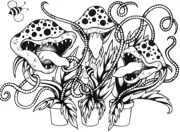 venus fly trap carnivorous plant coloring sheet