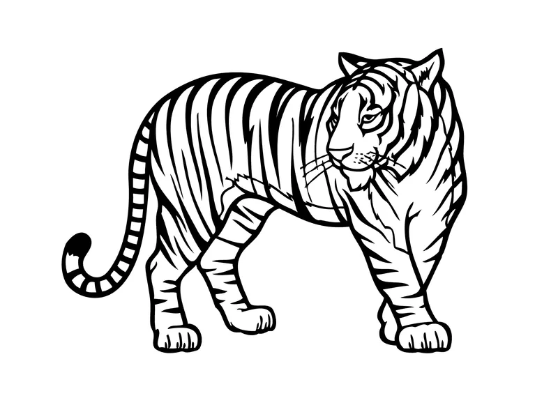 Free Tiger Coloring Pages