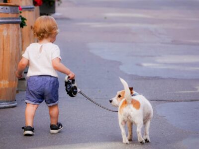 What To Bring To Disneyland With A Toddler