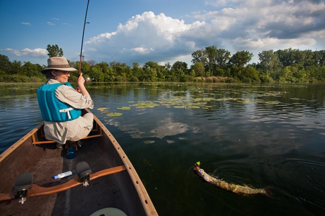 Fishing