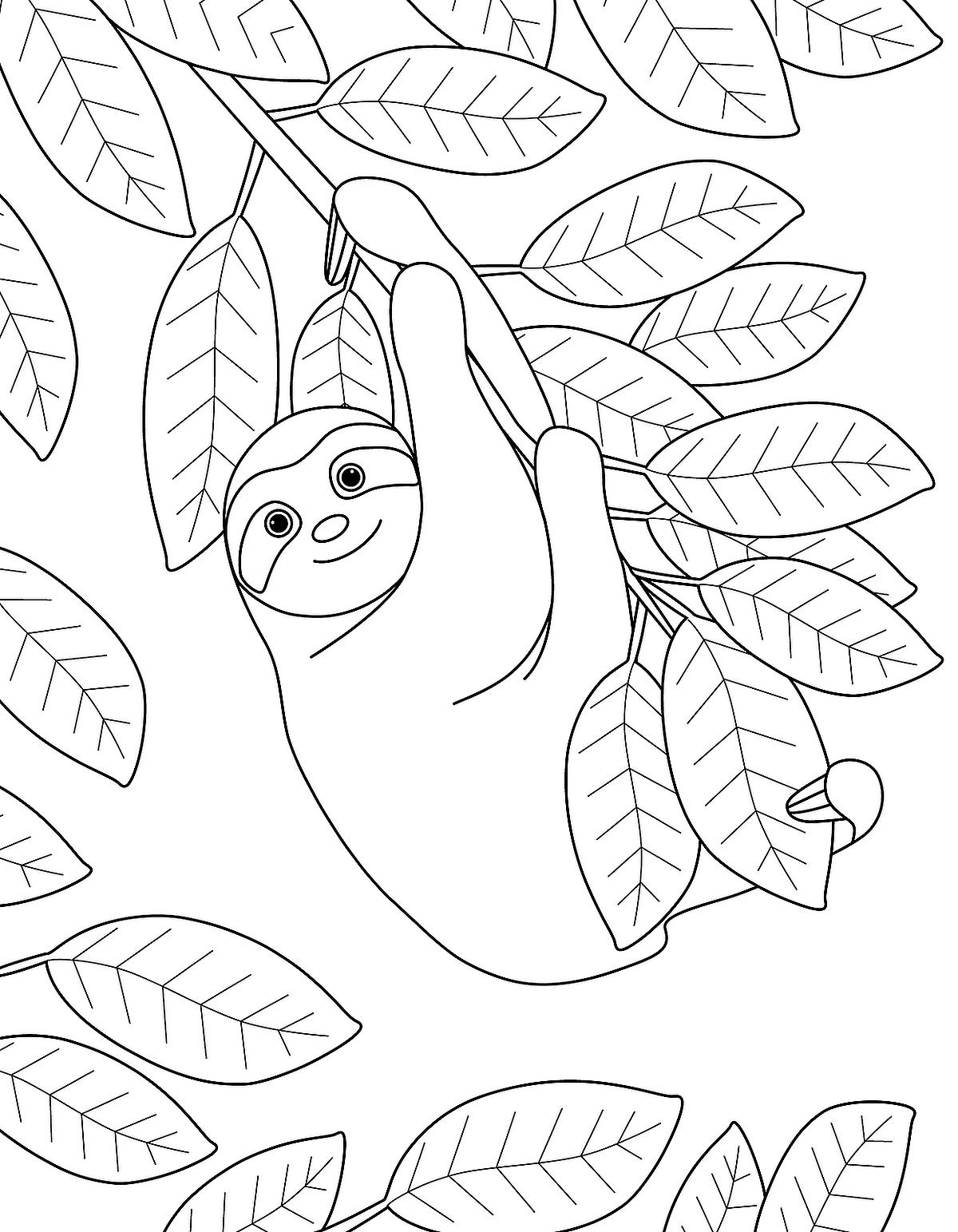 Free Printable Sloth Coloring Pages