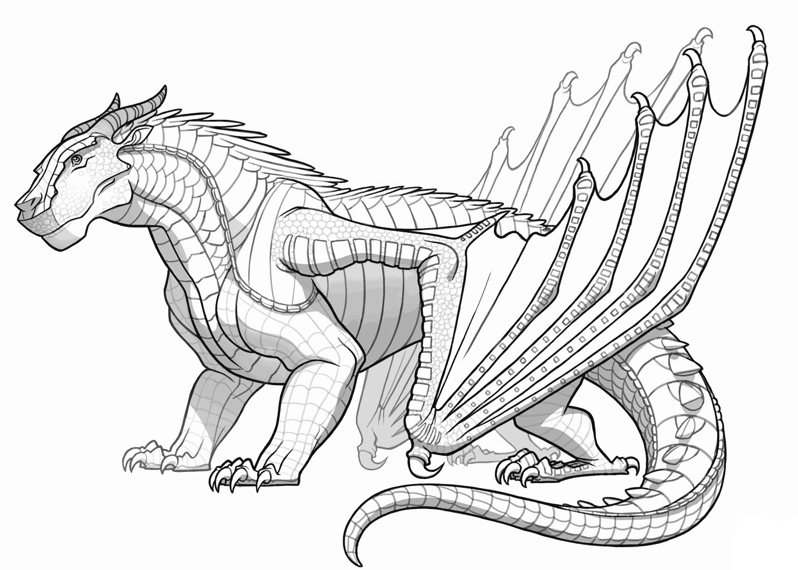 Printable Adult Coloring Page Realistic Dragon