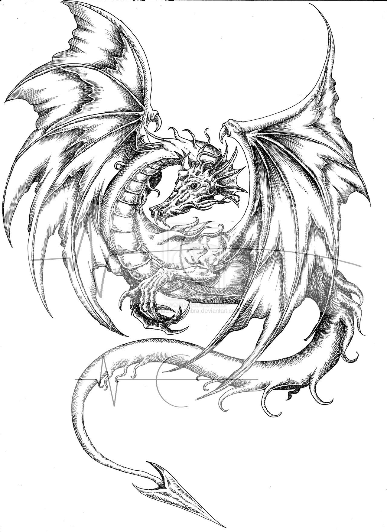 Printable Realistic Dragon Coloring Pages