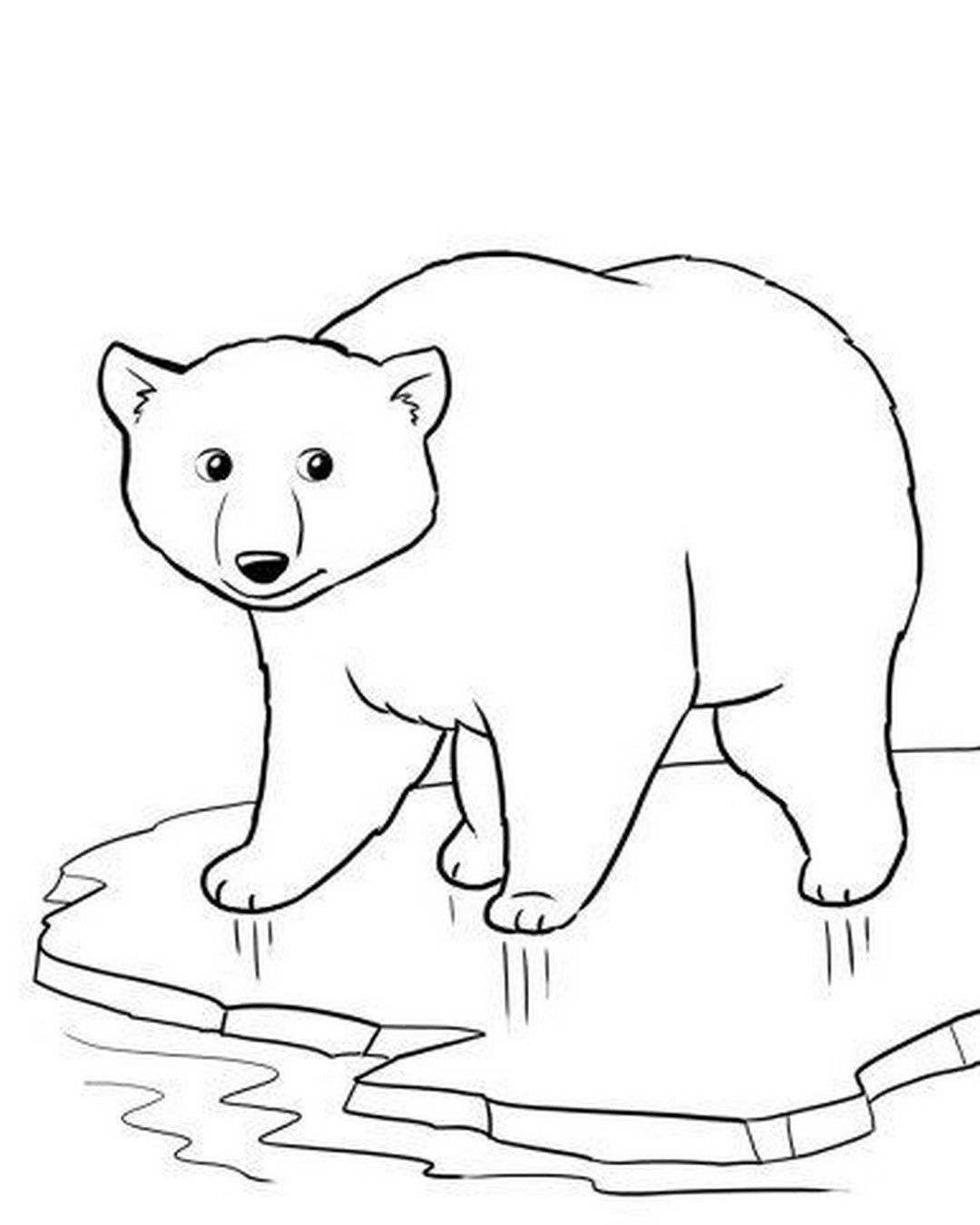 Polar Bear Coloring Pages