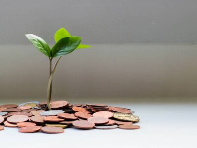 Investing 21