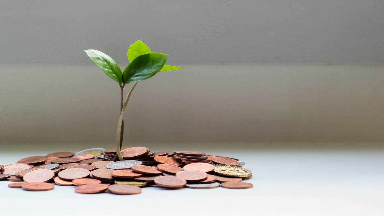 Investing 21