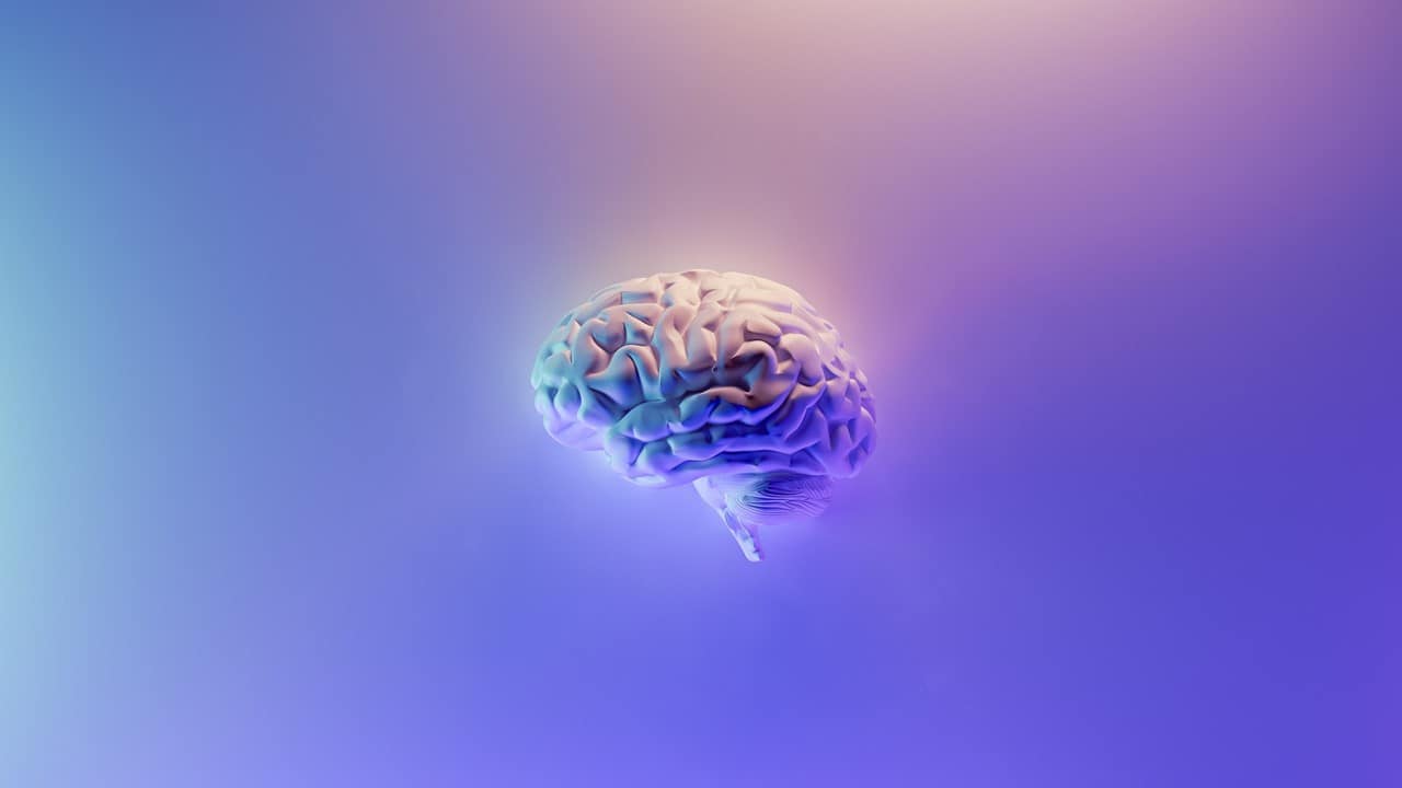 Thinking 031