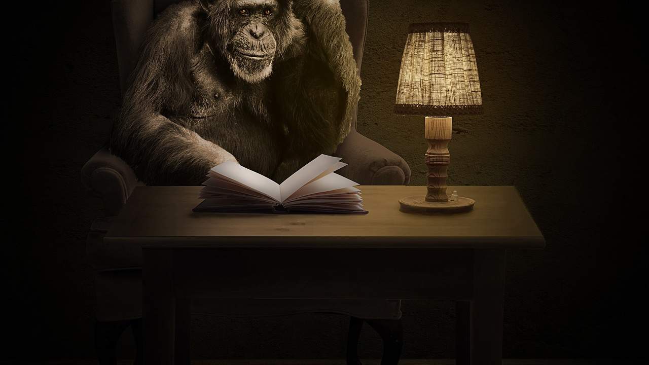 Writing journal prompts 03