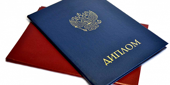 Диплом повара 4 разряда Краткий путеводитель к профессиональной кулинарии