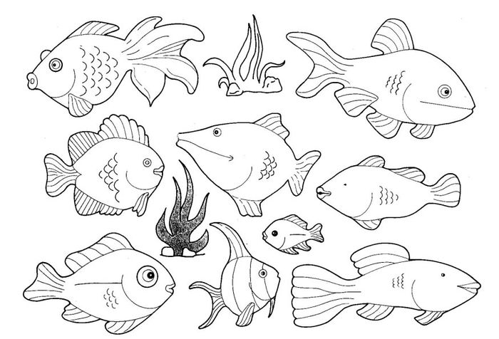 Adults Coloring Pages Sea Animals