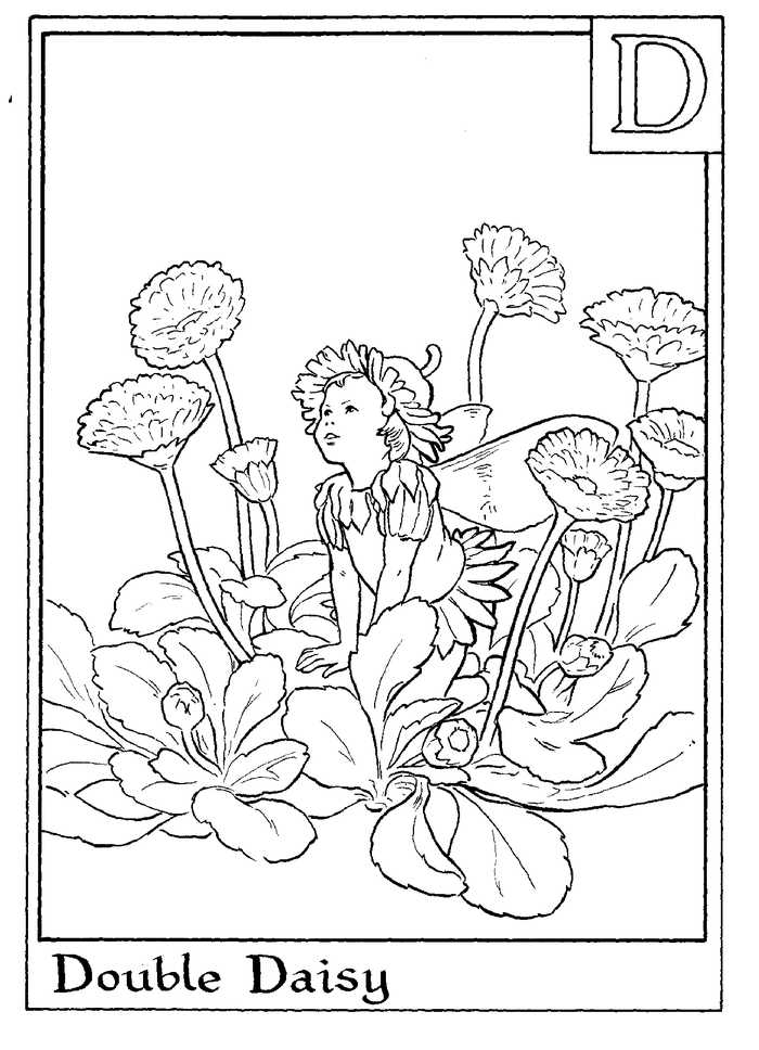 Alphabet Fairy Daisy Coloring Page