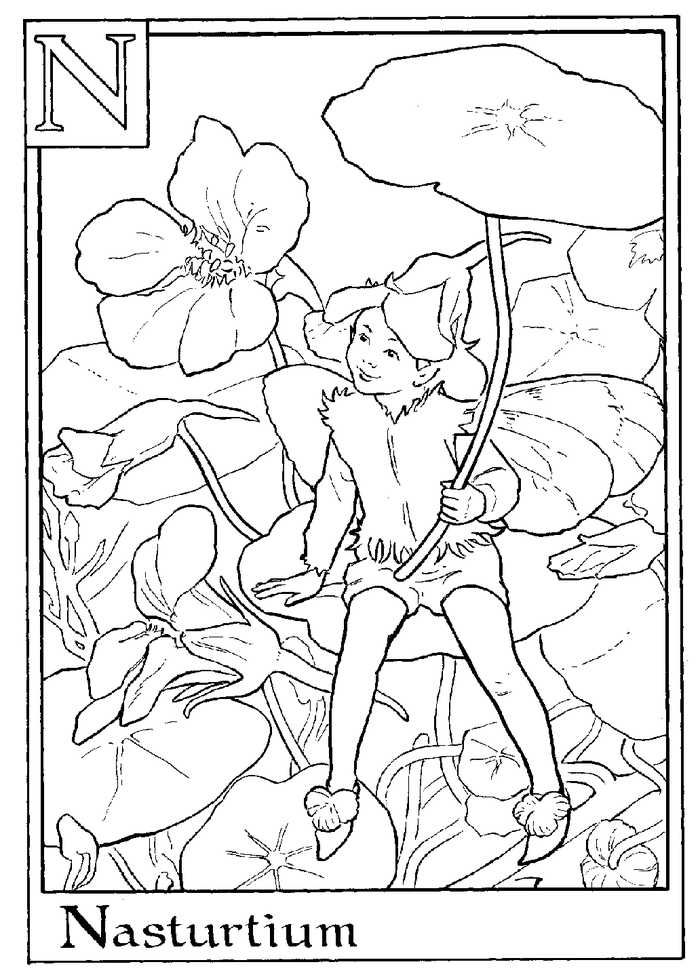 Alphabet Fairy Nasturtium Coloring Page