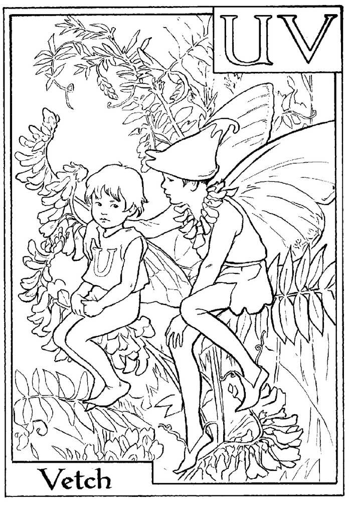 Alphabet Fairy Vetch Coloring Pages