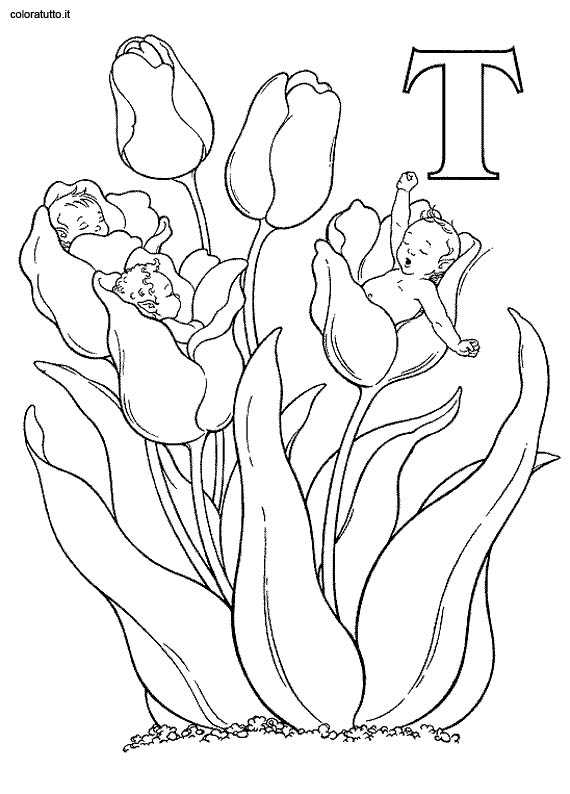 Alphabet T Fairy Coloring Pages