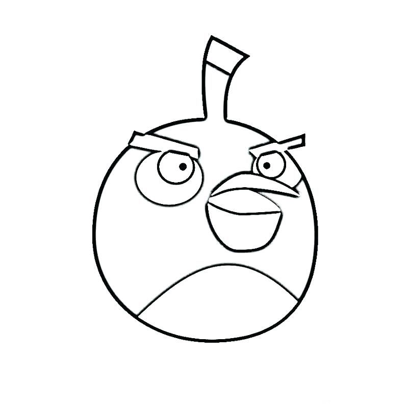 Angry Birds Coloring Pages All Birds